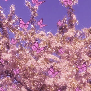 Meet your Posher, Acora